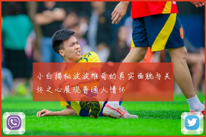 小白揭秘波波维奇的真实面貌与关怀之心展现普通人情怀